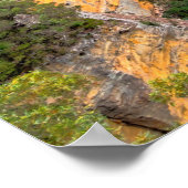 Blauwe bergen Nationaal Park, Australië Poster (Hoek)