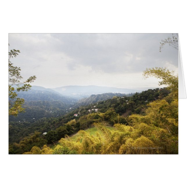 Blauwe bergen op Kingston (Voorkant Horizontaal)