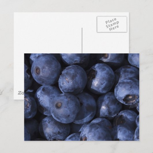 Blauwe bessen! briefkaart (Voorkant / Achterkant)