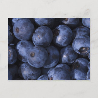 Blauwe bessen! briefkaart