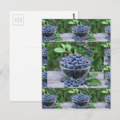 Blauwe bessen Chefs gezonde keuken Ontbijtsalades Briefkaart (Voorkant / Achterkant)
