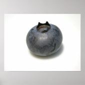 Blauwe bessen die ik ken 13 poster (Voorkant)