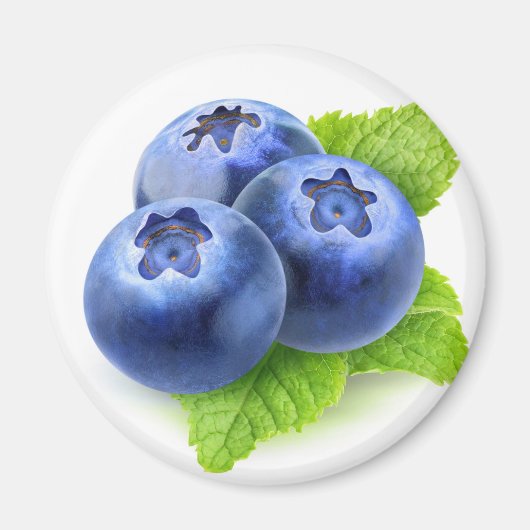 Blauwe bessen en munt magneet (Voorkant)