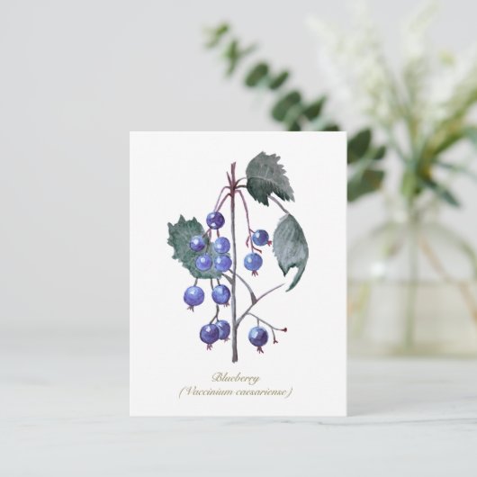 Blauwe bessen Fruit Hand getrokken Waterverf kunst Briefkaart (Staand voorkant)