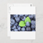 Blauwe bessen Fruit Vrede Liefde Destiny Party Art Briefkaart (Voorkant / Achterkant)