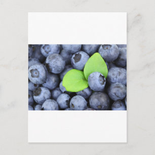 Blauwe bessen Fruit Vrede Liefde Destiny Party Art Briefkaart