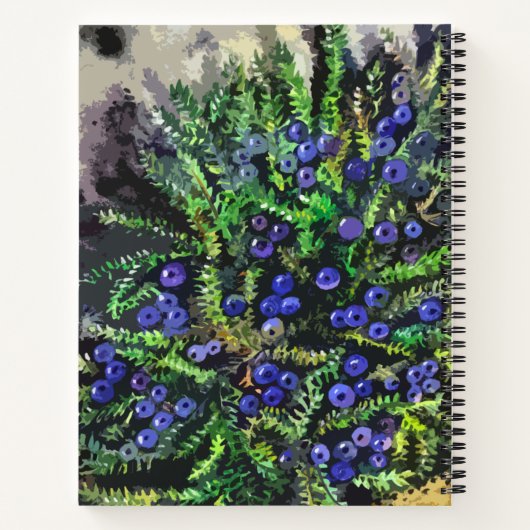 Blauwe bessen notitieboek (Achterkant)