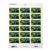 Blauwe bessen op een Struik Etiket (Full Sheet)