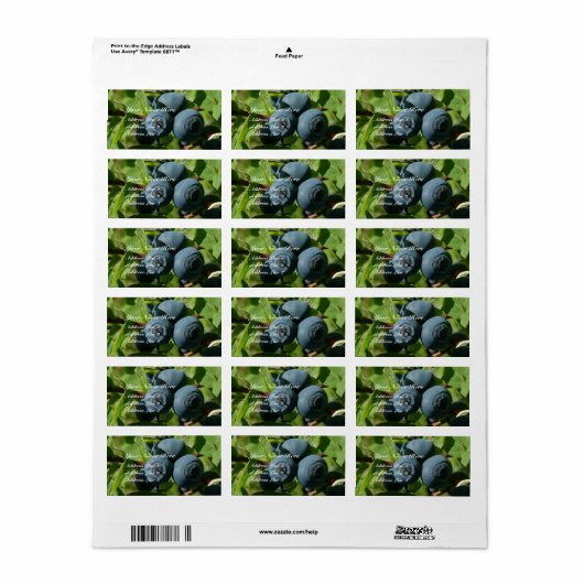 Blauwe bessen op een Struik Etiket (Full Sheet)
