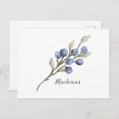 Blauwe bessen op het Briefkaart van de Waterverf v (Voorkant / Achterkant)