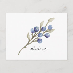 Blauwe bessen op het Briefkaart van de Waterverf v