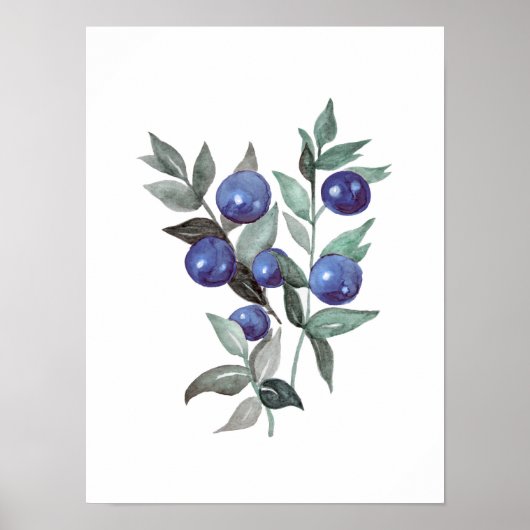 Blauwe bessen Waterverf Poster (Voorkant)