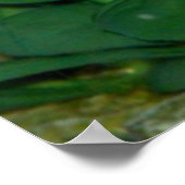 Blauwe Bettavis Print of Poster (Hoek)