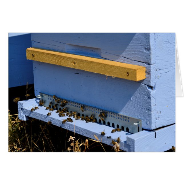 Blauwe bijenkast (Voorkant Horizontaal)