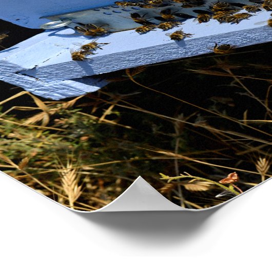 Blauwe bijenkast poster (Hoek)