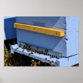 Blauwe bijenkast poster (Voorkant)