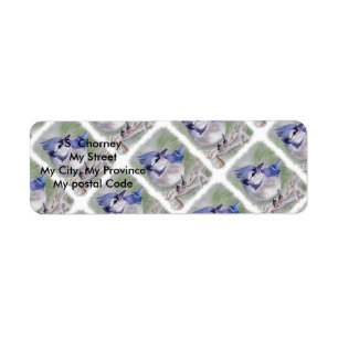 BLAUWE BIRD VAN PARADISE Return Address Etiket