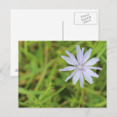 Blauwe bloem #3 briefkaart (Voorkant / Achterkant)