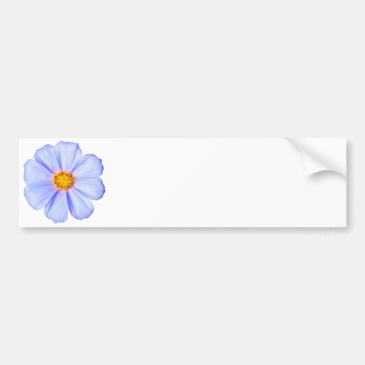 Blauwe Bloem - Aangepaste Cosmos Madeliefjes Sjabl Bumpersticker (Voorkant)