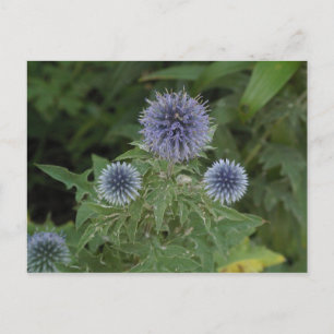 blauwe bloem briefkaart