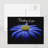 Blauwe Bloem Briefkaart (Voorkant / Achterkant)