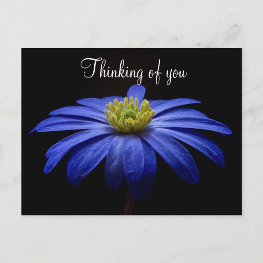Blauwe Bloem Briefkaart (Voorkant)