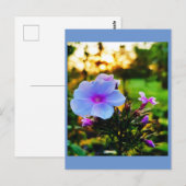 Blauwe bloem briefkaart (Voorkant / Achterkant)