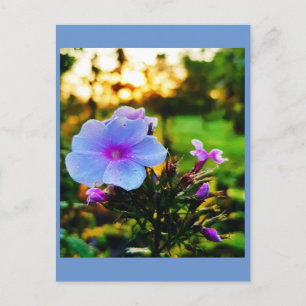 Blauwe bloem briefkaart
