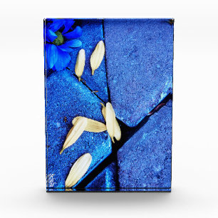 Blauwe Bloem en Gele Bloembladen Fotoblokken