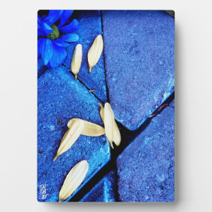 Blauwe Bloem en Gele Bloembladen Fotoplaat