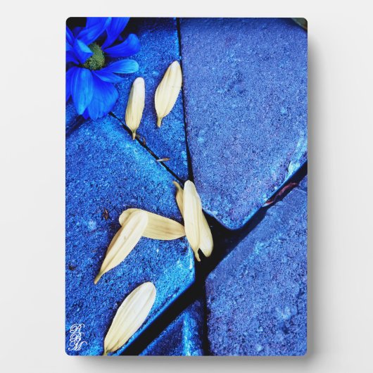 Blauwe Bloem en Gele Bloembladen Fotoplaat (voorkant)