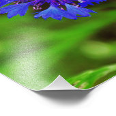 Blauwe bloem foto afdruk (Hoek)