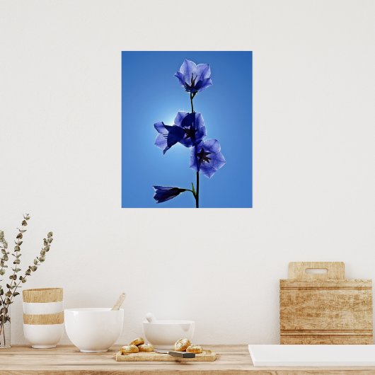 Blauwe bloem poster (Keuken)