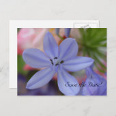 Blauwe bloem Save the Date Briefkaart (Voorkant / Achterkant)