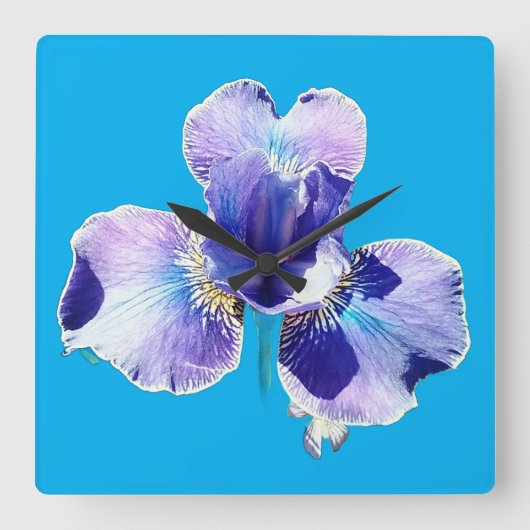 Blauwe bloem wandklok (Voorkant)