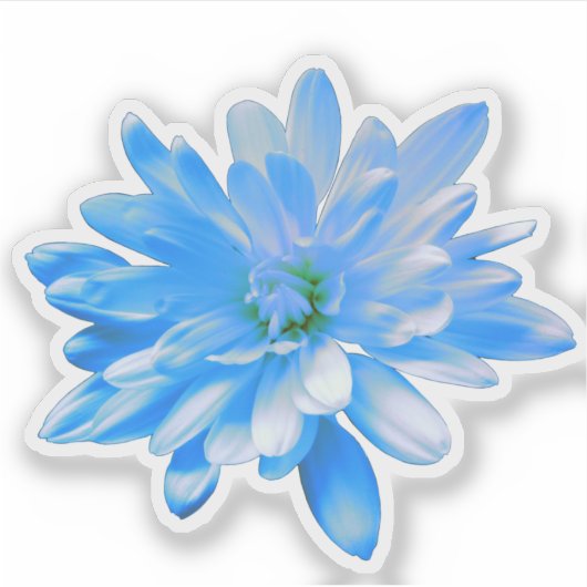 Blauwe bloemen blauwe bloem Daisy zonnebloem Sticker (Voorkant)
