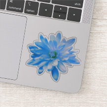 Blauwe bloemen blauwe bloem Daisy zonnebloem