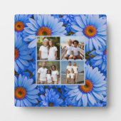 Blauwe bloemen blauwe zonnebloemen blauwe madelief fotoplaat (Voorkant)