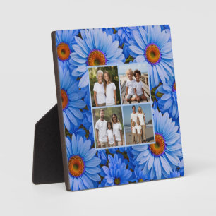 Blauwe bloemen blauwe zonnebloemen blauwe madelief fotoplaat