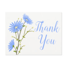 Blauwe Bloemen Dank u Daisy Flower Wedding Daisies