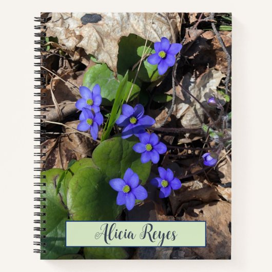 Blauwe bloemen, hepatisch notitieboek (Voorkant)