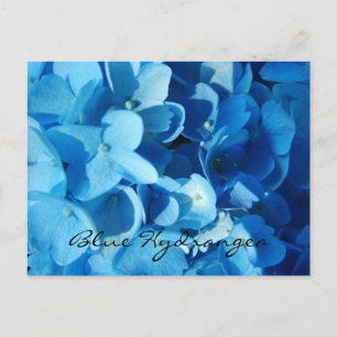 Blauwe bloemen, hortensia briefkaart
