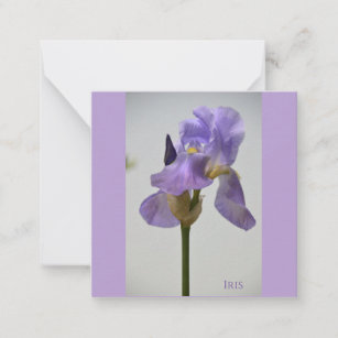 Blauwe bloemen: Iris Notitiekaartje