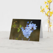 Blauwe Bloemen Kaart (Gele Bloem)