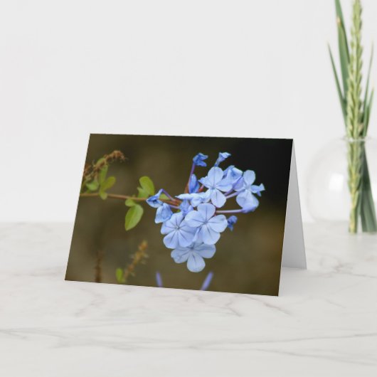 Blauwe Bloemen Kaart (Voorkant)