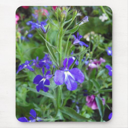 blauwe bloemen muismat (Voorkant)