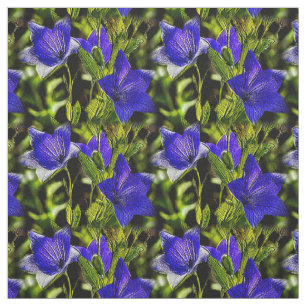 Blauwe bloemen Natuur Patroon Stof