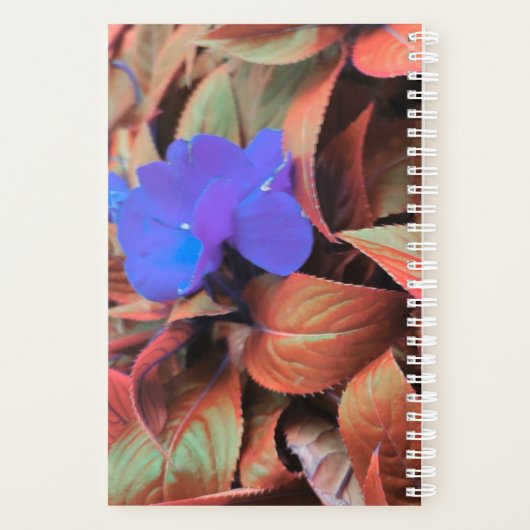 Blauwe bloemen planner (Achterkant)