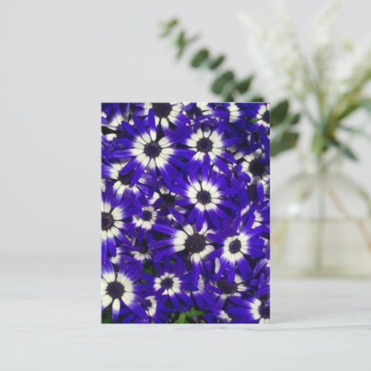 Blauwe bloemen plukken geen Briefkaart (Staand voorkant)