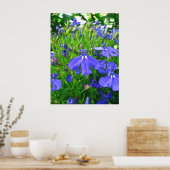 blauwe bloemen poster (Keuken)